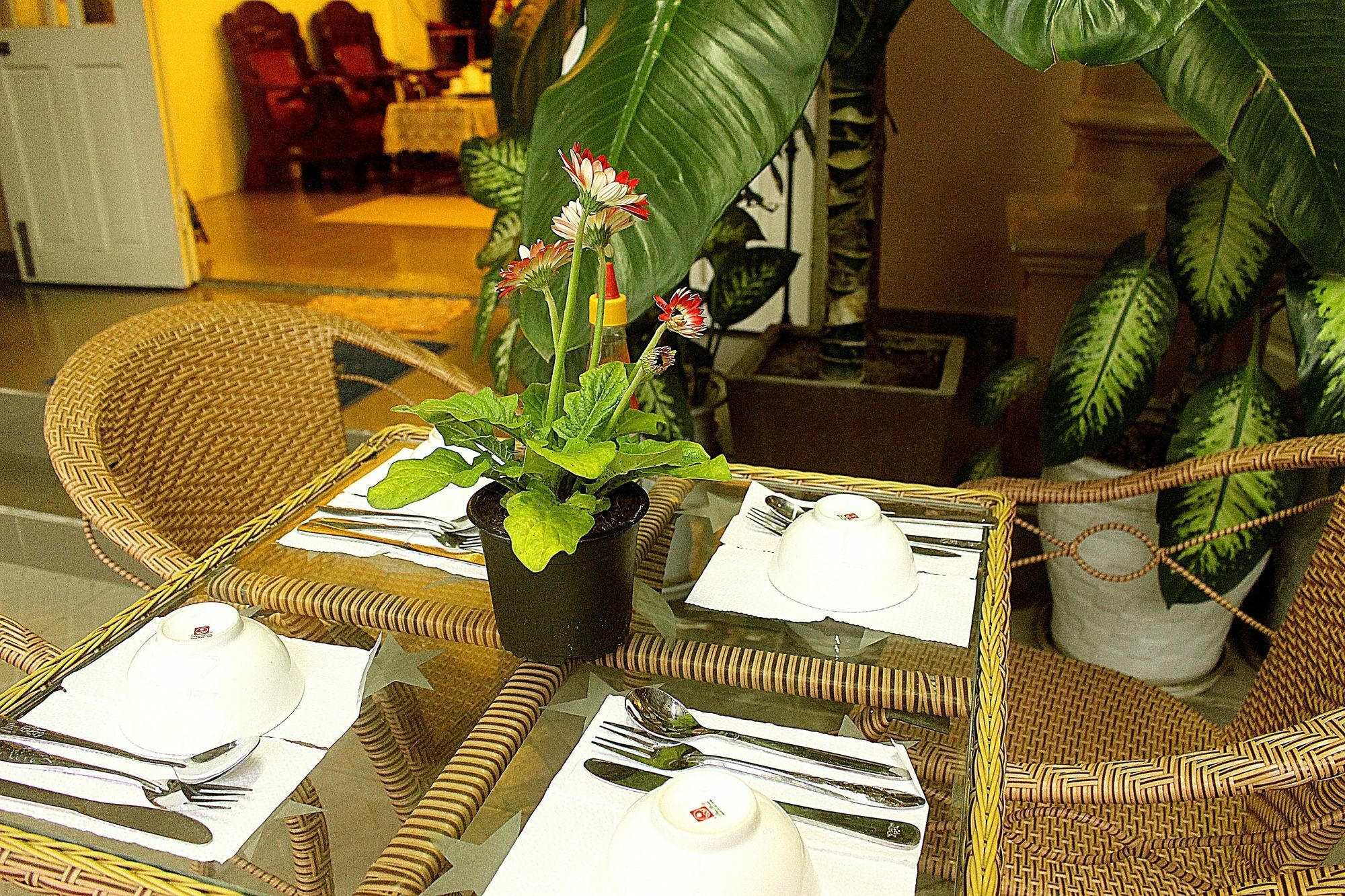 Quy Long Homestay 会安 外观 照片